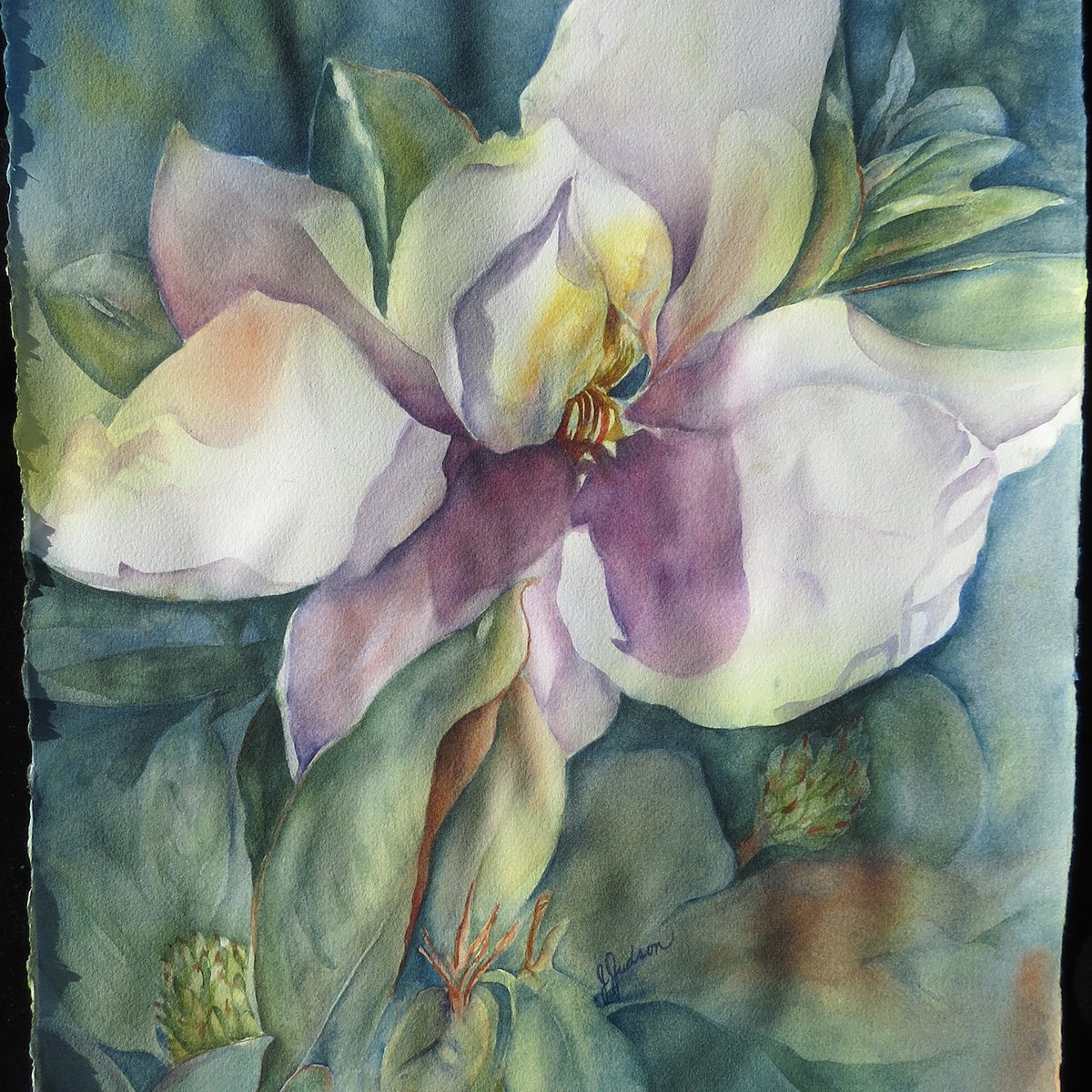 Judson Janet Magnolia