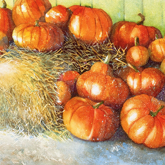 Pumpkin Harvest