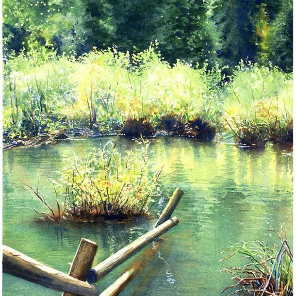 Kristi Nordbye Watercolor