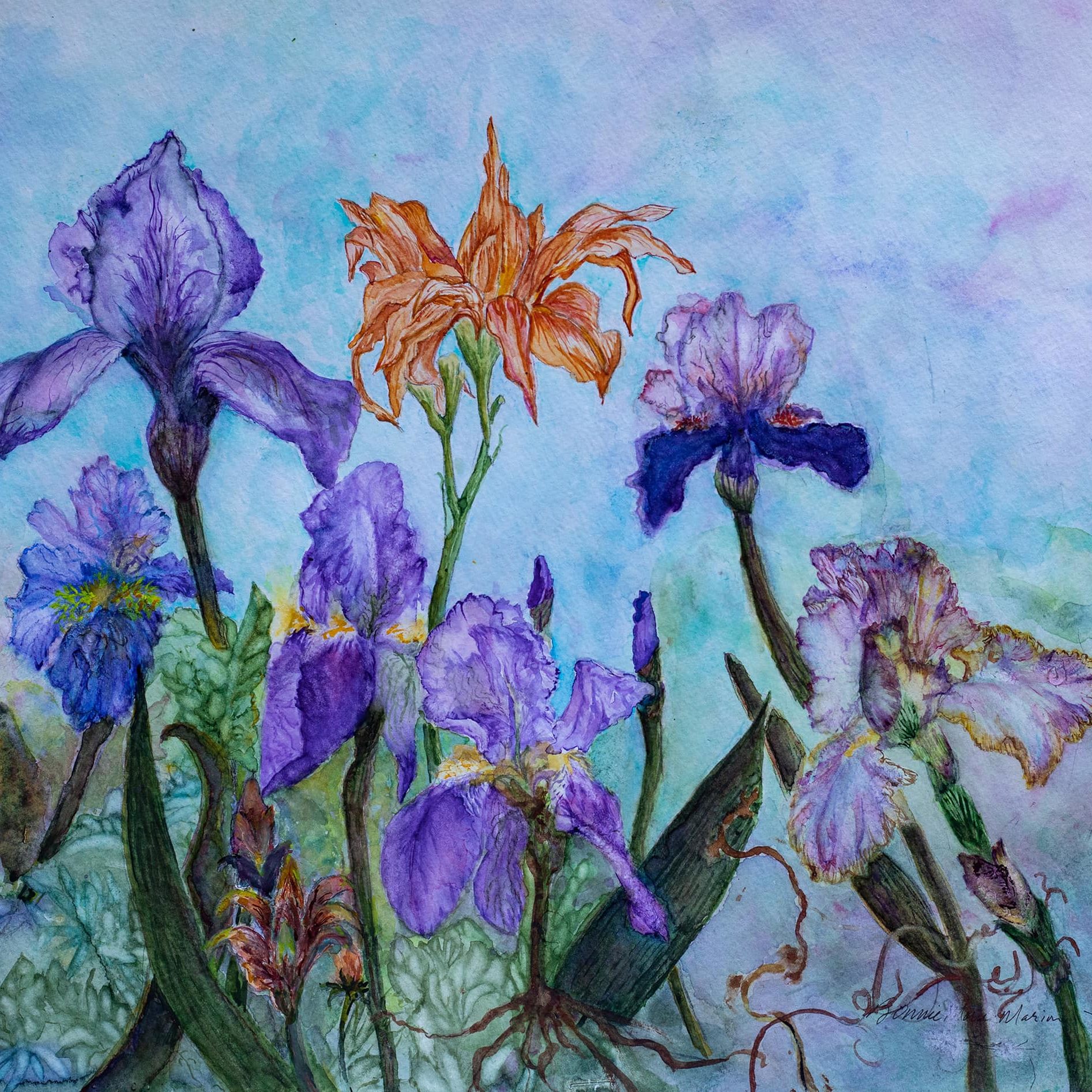 Bonnie Marion Watercolor Bonnie Marion Watercolor