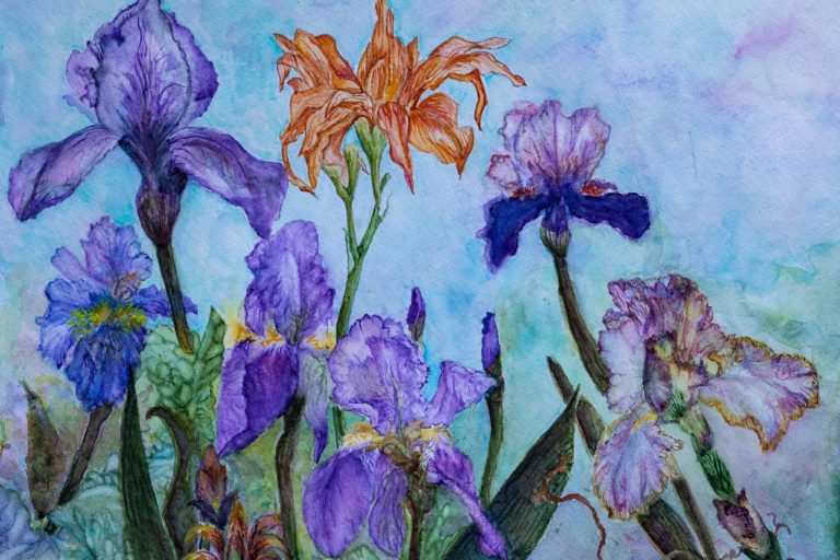 Featured Artist | Northern Plains Watercolor Society | Rapid City, SD